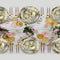 Aden Dinner Plates