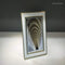 Classic White Photo Frame
